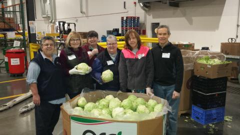 The Dignity/Seattle cabbage team