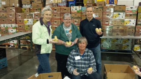 Food Lifeline Volunteer evening Oct 16, 2018 - Sorting Potatoes